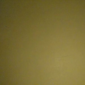 Meet your Posher, Eve